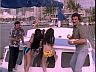 'Lemon Brawl' Flash Video Clip